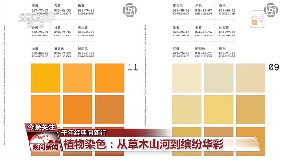 千年经典向新行丨绿植成绿、苏木提红 一草一木染出惊艳“中国色”