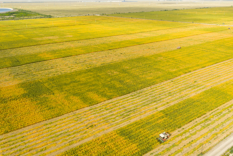 State Grid Zhangye Power Supply Company: Ensuring Reliable Power Supply for Autumn Harvest with Direct Field Services_fororder_IMG_5337