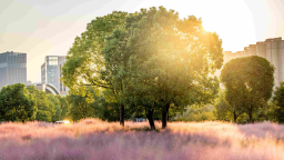 杏林五载新答卷丨建满意校园 暖师生心田