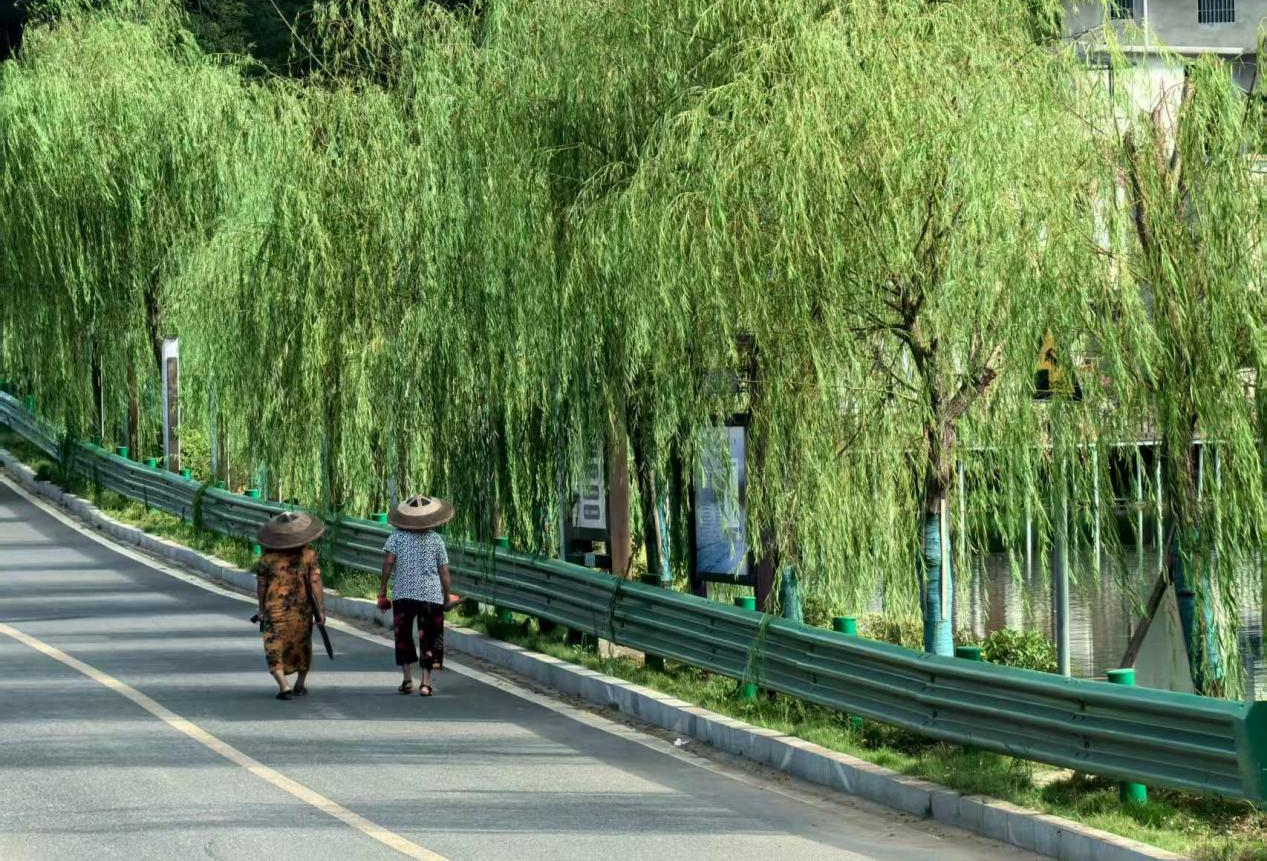 桨板激起千重浪——四届中国桨板超级联赛带来的湖南邵阳县之变_fororder_7