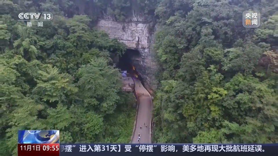 视频丨200万年前大熊猫的大小只有现在的一半？有化石为证