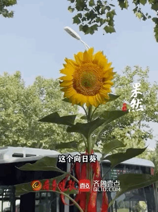 这些高考送考名场面 满满都是仪式感
