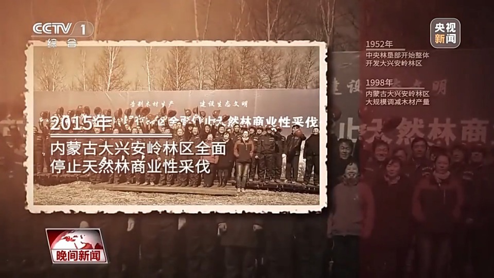 看见美丽中国丨停伐十年 看“绿色宝库”大兴安岭的转型路→