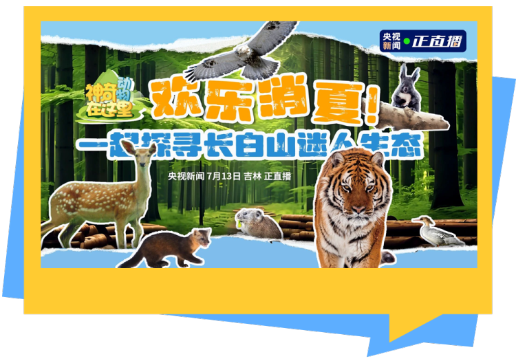 总台周末看点丨跟着总台游中国