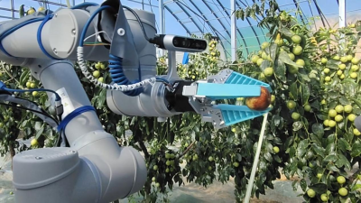 AI×スマート農業 大荔で冬ナツメの収穫ロボット「藍侠」を初めて導入