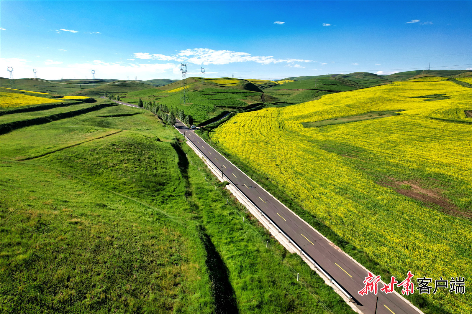 图片默认标题_fororder_3