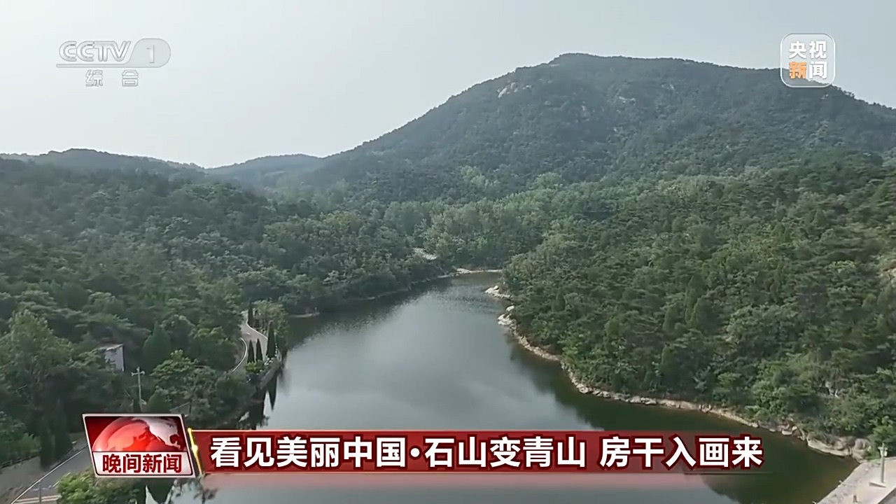 看见美丽中国丨炸水泥厂、种万棵树！“石头村”20年逆袭97%森林覆盖