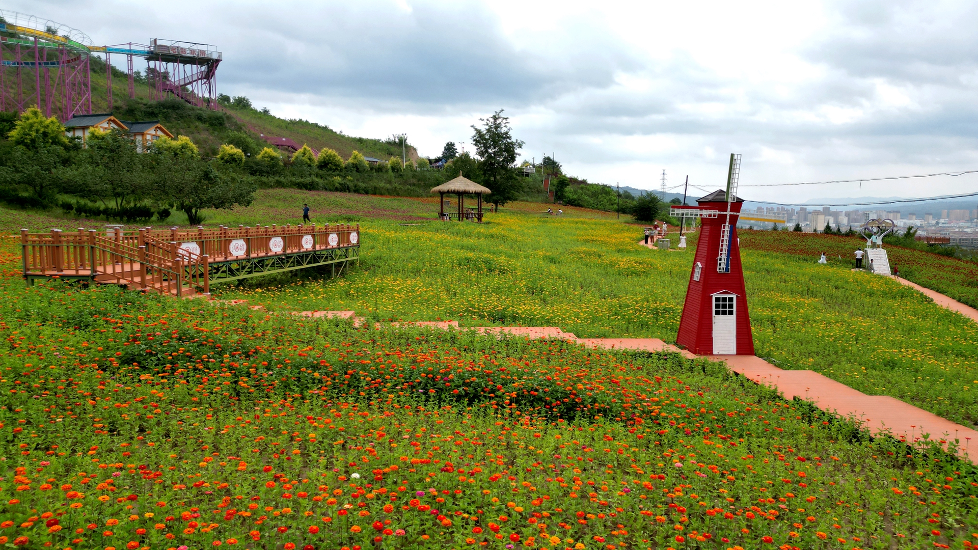 天水清水：花海打卡备受青睐 乡村旅游热度上升_fororder_4
