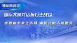 国际大咖共话东方主战场：世界和平来之不易 中国贡献不可磨灭_fororder_年终背景和平(1)(1)