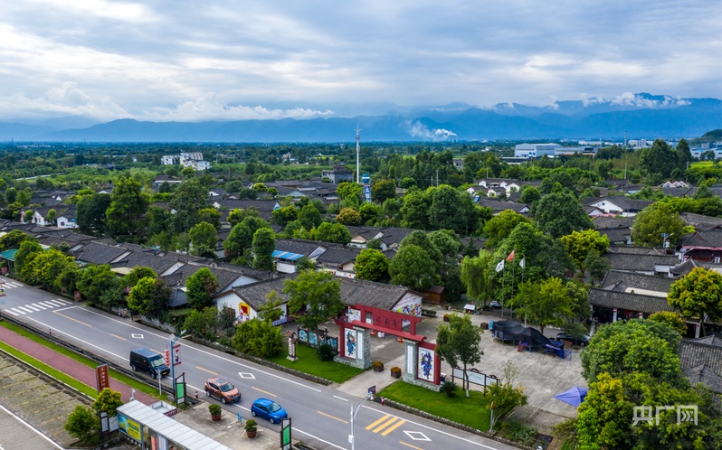 年味里的中国|“非遗”年画绘新春