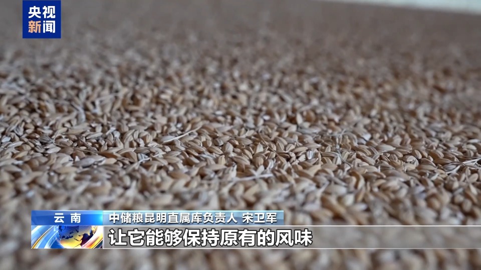 年中经济观察丨粮食住进“好房子” “油瓶子”工厂迎来“数字工友”