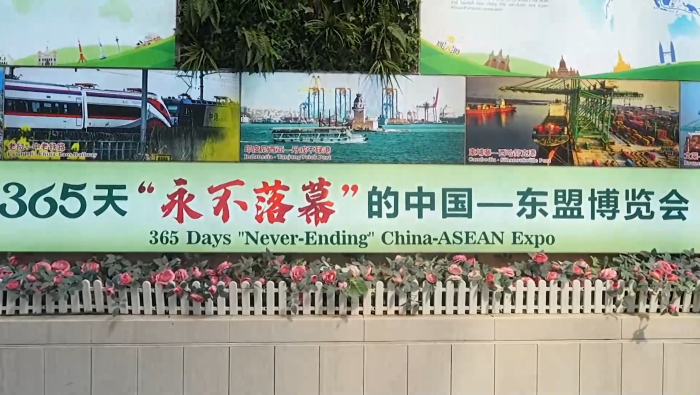 活力中国调研行｜在南宁，打造“永不落幕”的东博会
