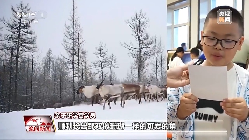 看见美丽中国丨停伐十年 看“绿色宝库”大兴安岭的转型路→