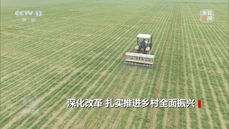 焦点访谈丨如何扎实推进乡村全面振兴?深化改革是关键