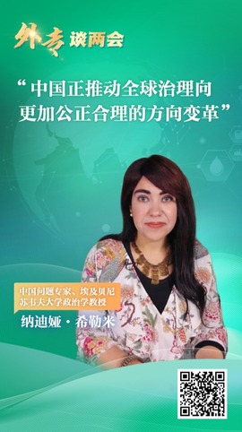 外专谈两会丨埃及专家：中国正推动全球治理向更加公正合理的方向变革_fororder_图片