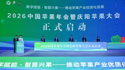 Qingyang: Using Apples to Strengthen Production and Sales Coordination and Enhance Brand Impact