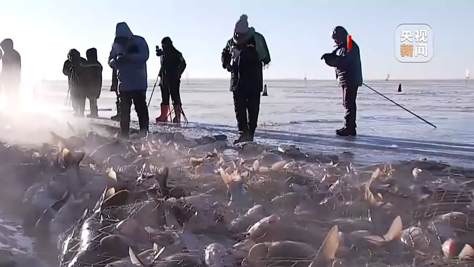 多个南方城市上榜热门目的地 今年冰雪游还有这些新玩法
