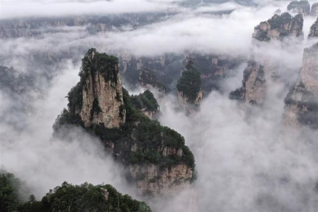 图片默认标题_fororder_3