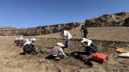 陇南宕昌：电商赋能药苗“出山”更“出圈”