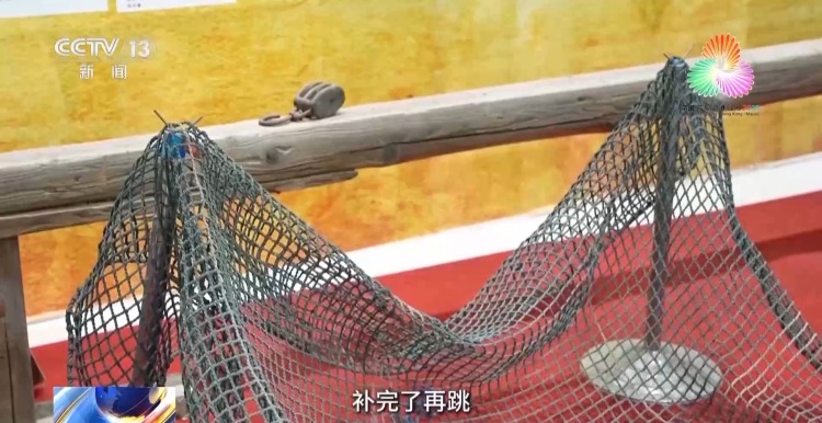 跳水“冠军摇篮”为何是湛江？跟着记者解锁背后密码