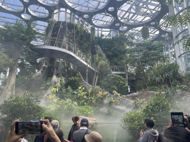 我们的人民城市|“双子山”散发别样魅力,上博东馆尽显“博物馆热”