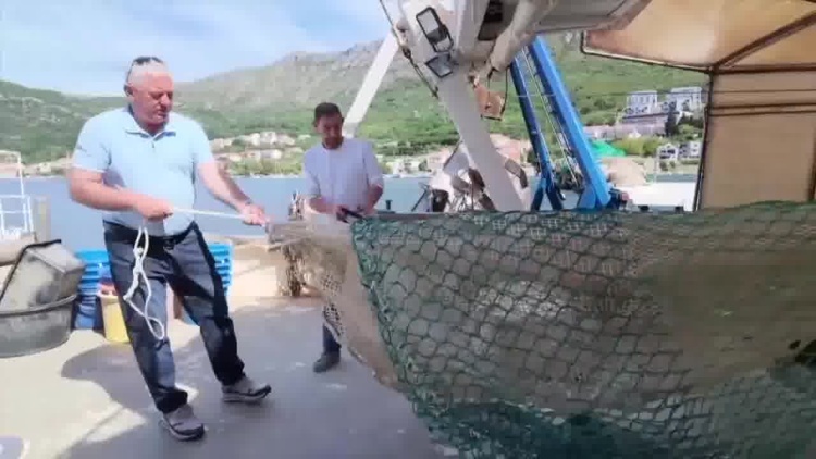 听鉴世界 | 燃油成本暴涨九成！ 克罗地亚渔民被迫停船歇业
