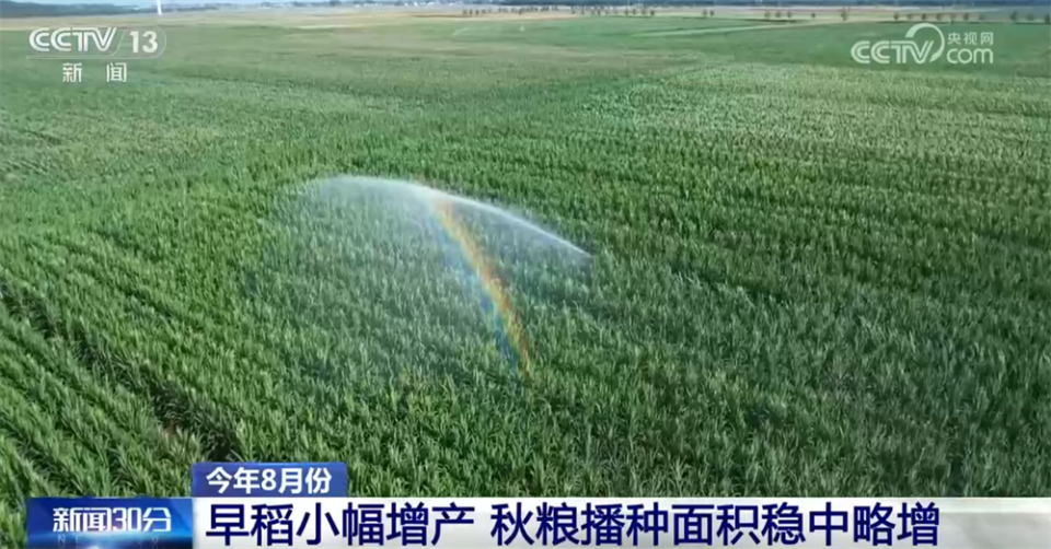 宏观政策“积极有为”助推国民经济运行总体平稳 高质量发展扎实推进