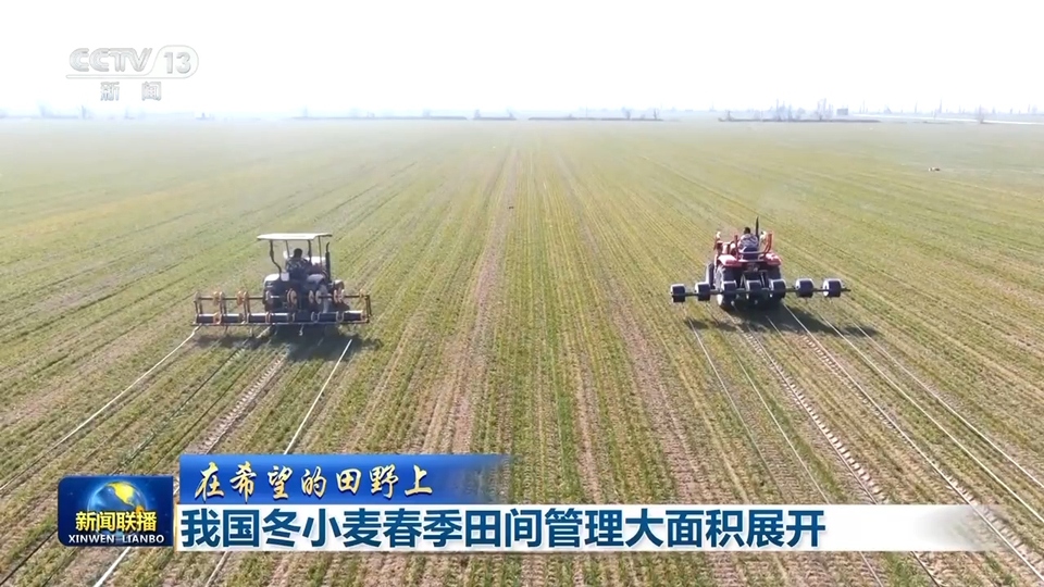 【在希望的田野上】我国冬小麦春季田间管理大面积展开