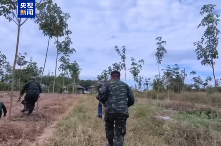 泰军方称已初步控制泰柬边境一处关键高地