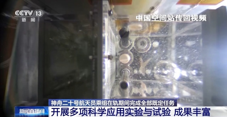 视频丨在轨驻留203天 神二十乘组完成了哪些任务？