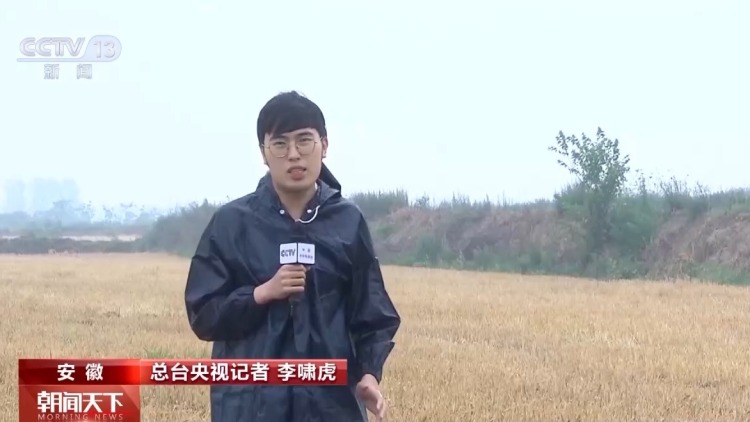 气象预报加上数字化监测 小麦“颗粒归仓”有了“最强大脑”