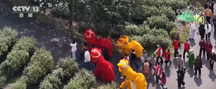 以茶为媒打造“茶旅融合”IP “时令宴+传统习俗”为茶乡振兴添新景