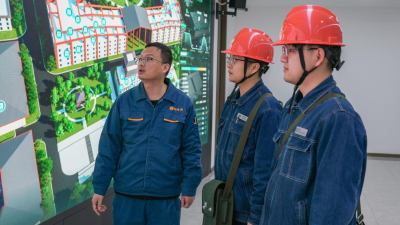 State Grid Shaanxi Electric Power Company Drives High-Quality Local Economic Development