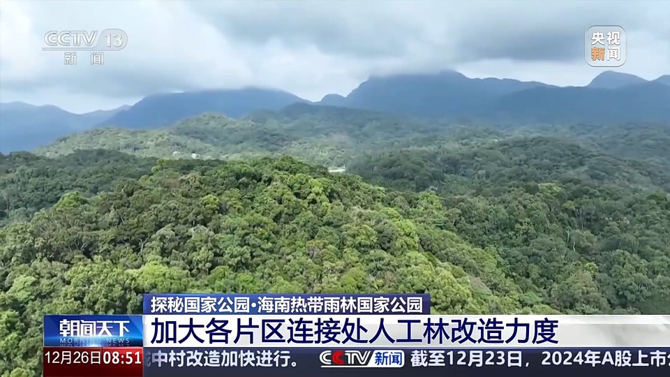 新物种75种！海南热带雨林国家公园持续“上新”