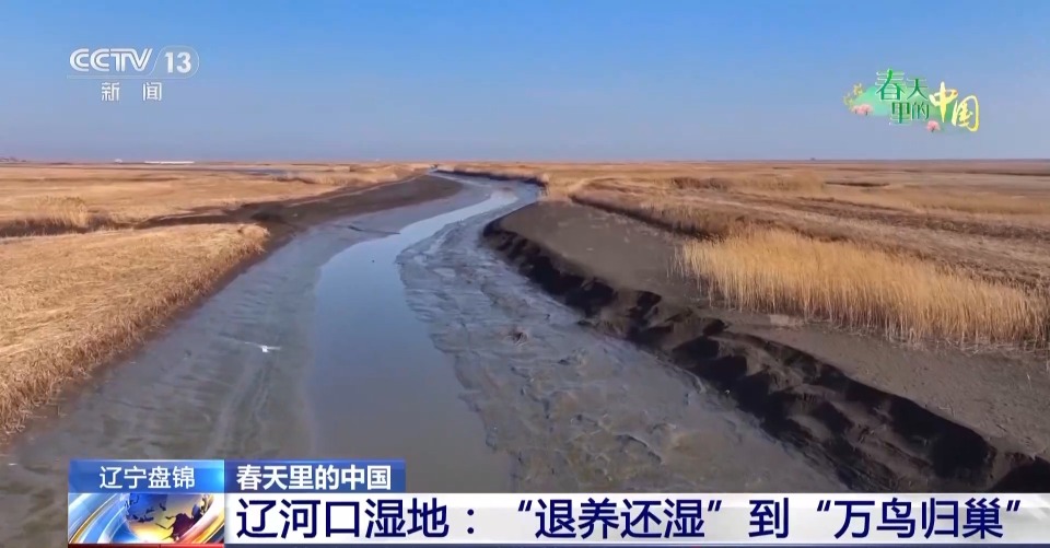 当现代农机遇上传统农业 “土豆”秒变“金豆”