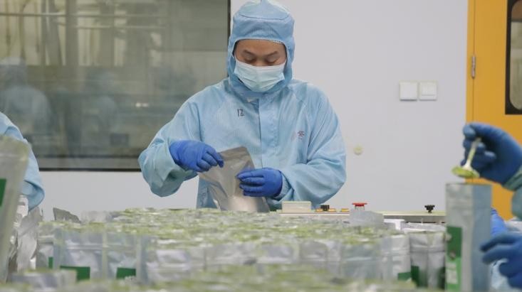 「茶葉智造」新パラダイム貴州抹茶の香り漂う世界_fororder_图片6