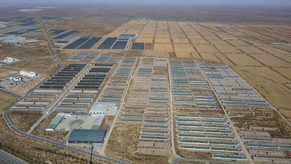 新华视点|产业“破题” 绘就振兴“答卷”