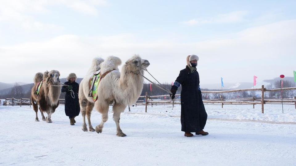 冰雪旅游“热”力绽放 各地活动精彩纷呈