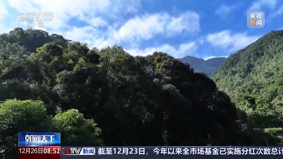 新物种75种！海南热带雨林国家公园持续“上新”