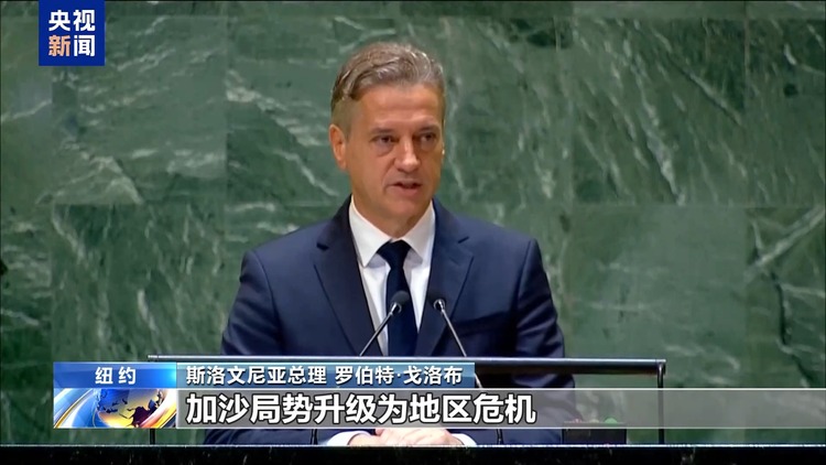 多国代表团在以总理讲话时离席退场