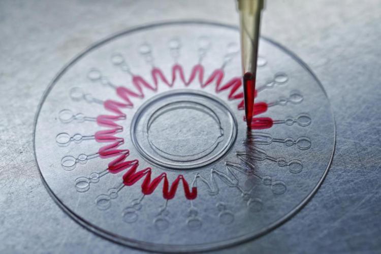 中医药AI大模型如何构建？生物芯片如何诊断？全球医疗鸿沟如何弥合？——听全国人大代表、中国工程院院士程京为你讲述