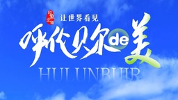 印象北疆｜让世界看见呼伦贝尔的美