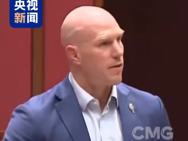 视频丨澳大利亚议员谴责以军射击儿童肢体玩“打靶游戏”_fororder_企业微信截图_20260704150659
