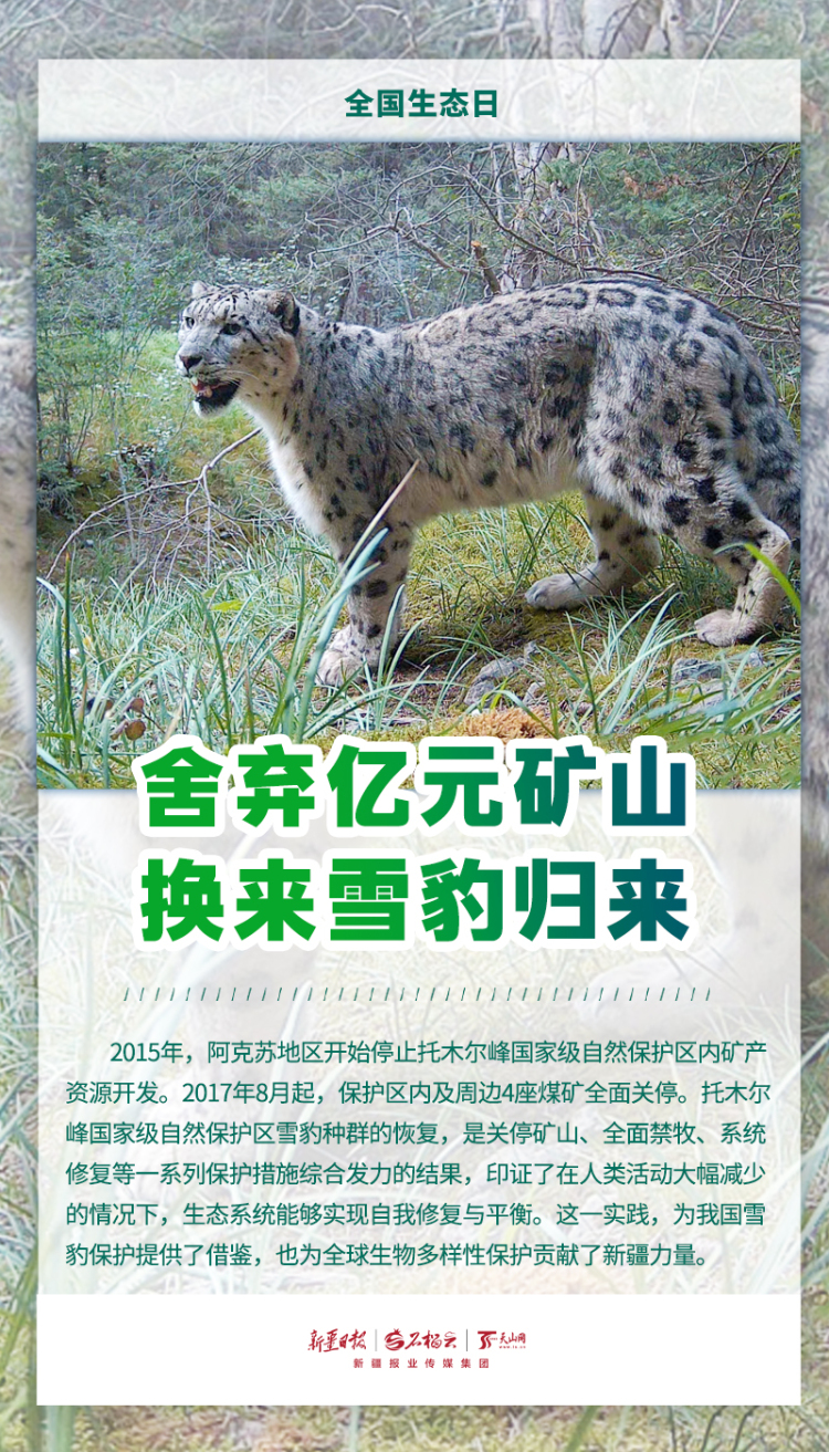 全国生态日丨当鸟兽草木频频“出圈”，看见新疆的生态底气