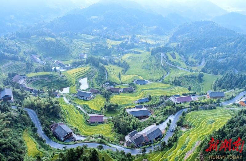 图片默认标题_fororder_1756687338220