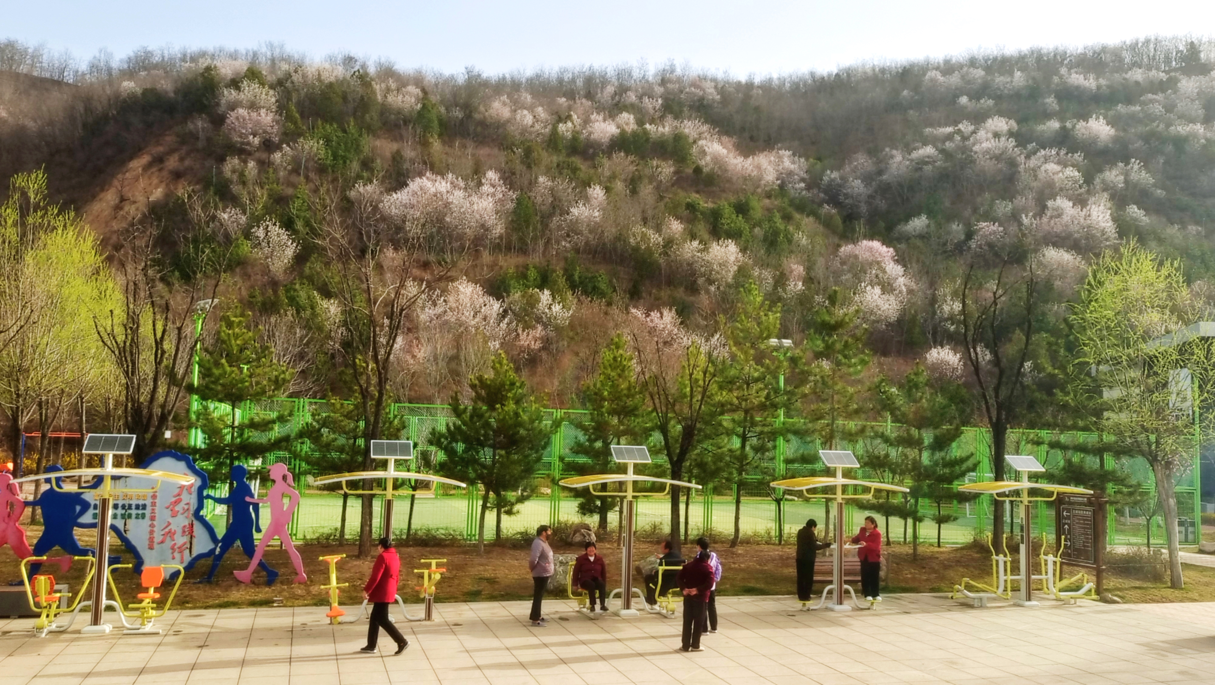 天水市清水县：桃棠争春，一城浪漫_fororder_花5