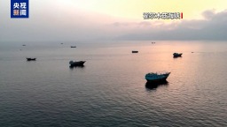 机构：通过霍尔木兹海峡商船数量降至每日5艘