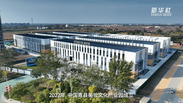 中国经济样本观察·一“业”成名｜真有两把刷子！“刷”出30亿级“颜值经济”