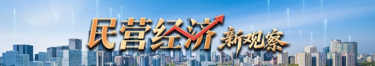 民营经济新观察｜从“草根”到“树根” 一座小镇的产业突围