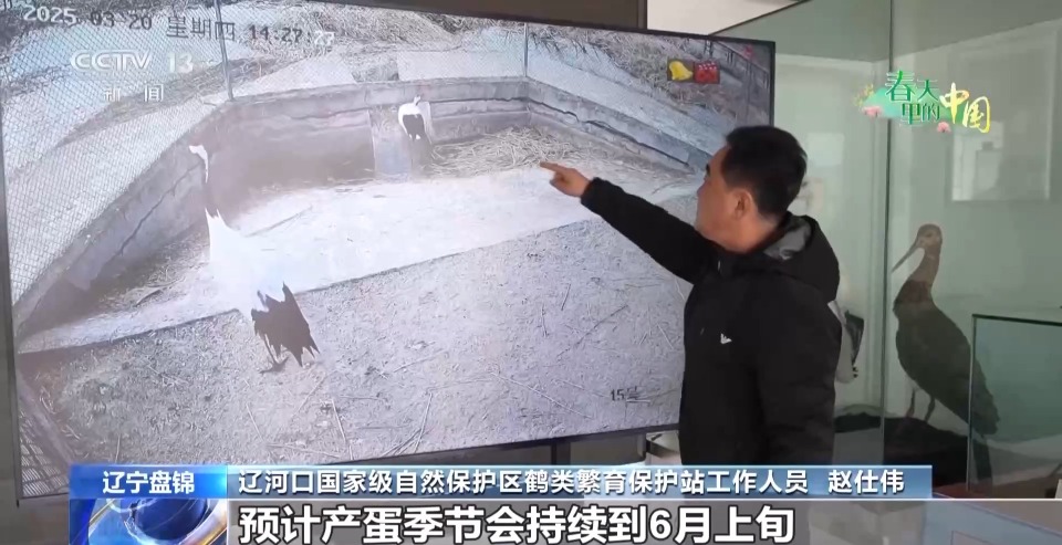 当现代农机遇上传统农业 “土豆”秒变“金豆”